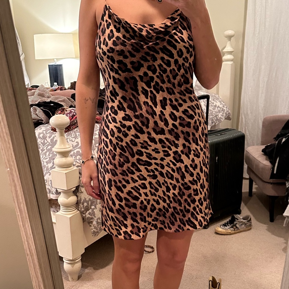 Harmony Slip in Cheetah